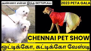 chennai pet show: pet gala chennai 2023- mugen rao - prankster rahul - namitha - chennai dog show