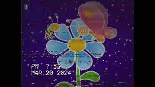 Babytv Wish Upon A Star Mariposa Y Flor Y Abejorro