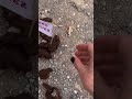 Perdón – street art short, trash art, urban art clip