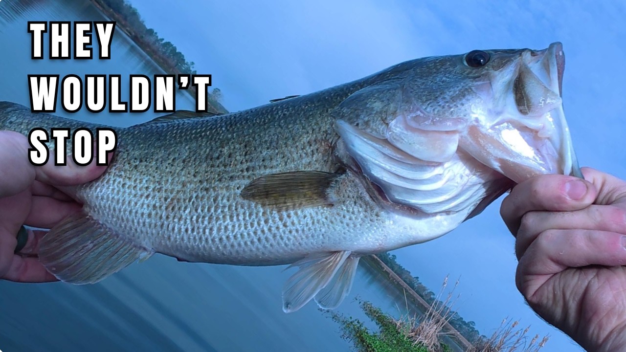 The Plastics Were Just As Good As The Topwater