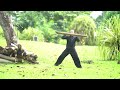 "Master Self-Defense &amp; Grappling with This Wooden Stick Training!"KungFu Basic 基本功#internalkungfu