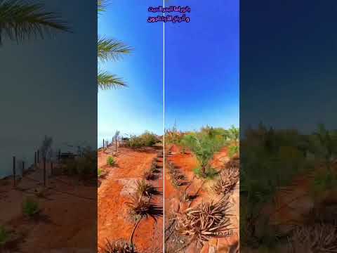 بانوراما البحر الميت البوصلة للعطلات فنادق اكسبلور جدو سواح شقق سياحة فندق تيك توك 