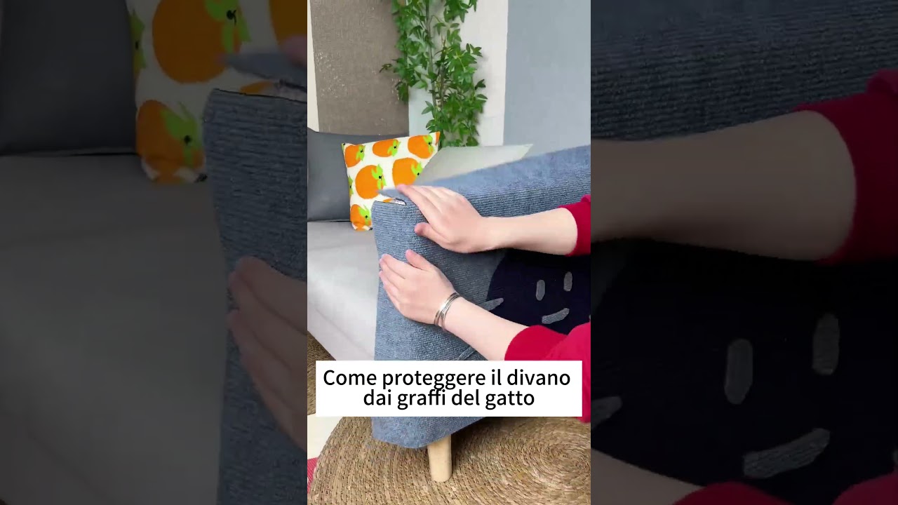 Come Proteggere il Tuo Divano dai Graffi del Gatto