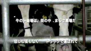 大宮の星