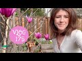 Fleurir à L Ombre 1er Semis Nouveau Magnolia VLOG 175 mp3