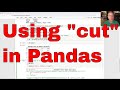 Turn numbers into categories with the pandas cut method