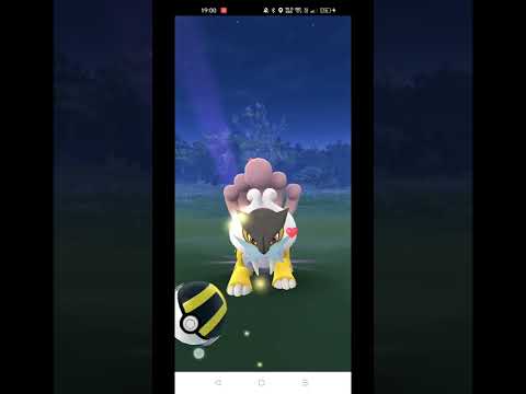 ポケモンgo野生のライコウ出現 普通に捕まえられた Shorts Youtube