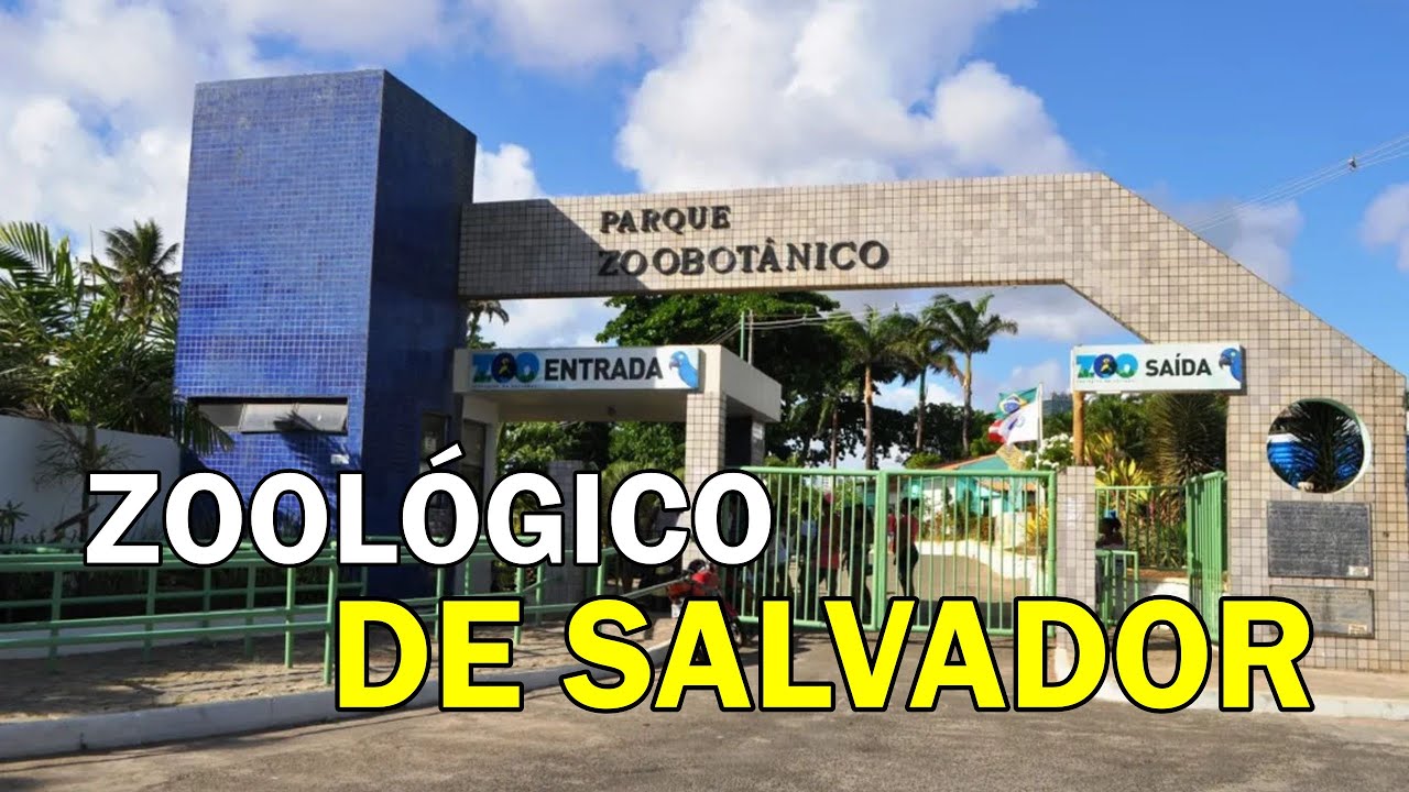 Como é o ZOOLÓGICO DE SALVADOR? - YouTube