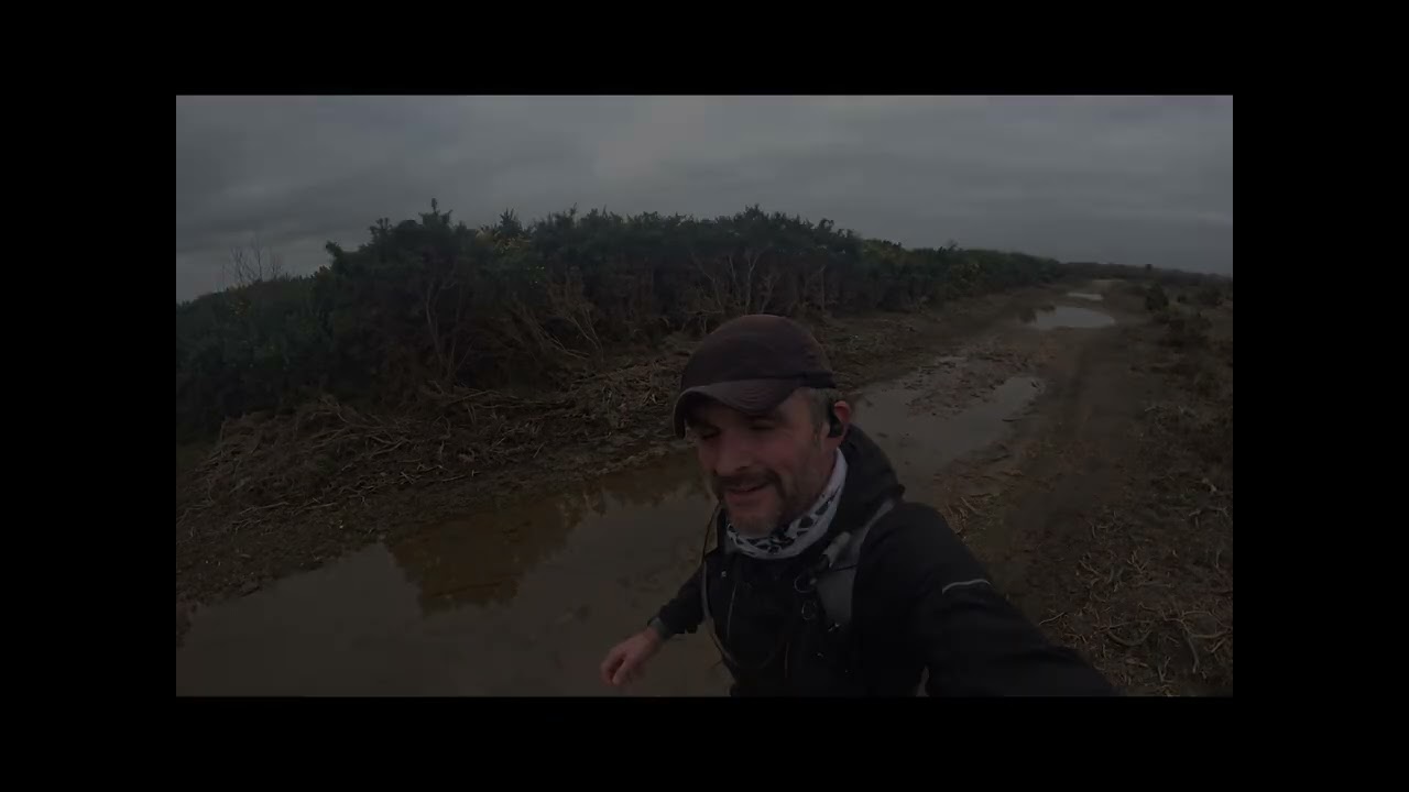 Trains , not planes and automobiles in the forest 🌳 