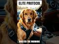 Mastering Luxury Discipline: The Duke Protocol