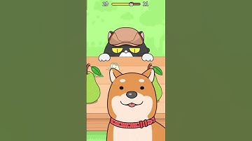 Hide and Seek: Cat Escape!  #viral  #cat  #gameshorts  #catcute #4