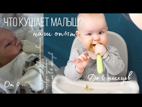 ЧТО КУШАЕТ МАЛЫШ ОТ 0 ДО 6 МЕСЯЦЕВ 🍼 // НАШ ОПЫТ // СМЕШАННОЕ ВСКАРМЛИВАНИЕ // РАННИЙ ПРИКОРМ