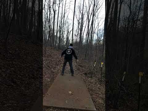 Disc Golf Drive