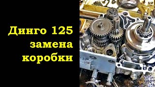 :  125  