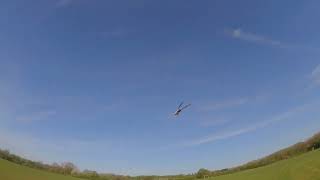 Rotorflight trex 550x