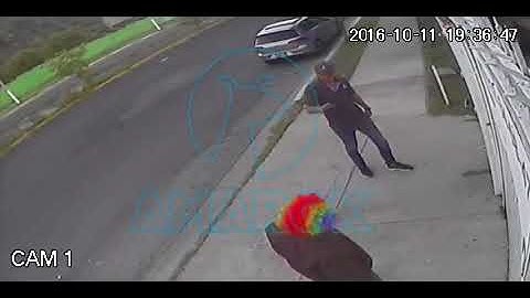 Killerclown gets knocked out 2017
