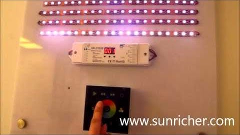 Wall Mounted DMX512 Dimmer Switch