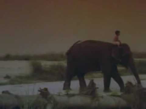 Enigma The Eyes Of Truth Dickens Tribage 2008 Rmx Video Version