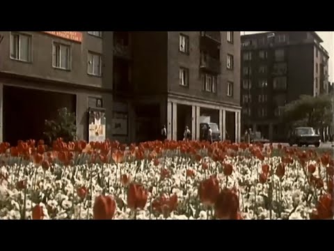 Bratislava plná kvetov (1975)