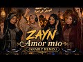Zayn Amor Mio Arabic Remix 