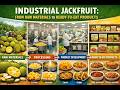 Mass Jackfruit Production: From Raw Materials to Ready-to-Eat Products (Full Scale)