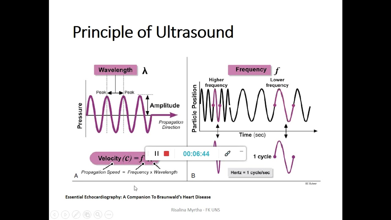 Seri Kuliah S1 - Dasar Ekokardiografi dan Exercise ECG Testing