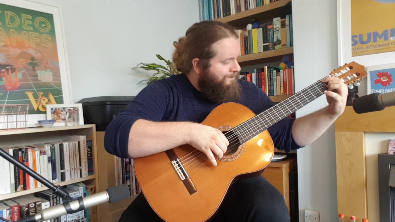David Roche Singer The Harp Of Wales | David John Roche | Solo Guitar - YouTube