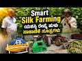 PART-1 How to start silk farming: ಉತ್ತಮ ಹುಳು ಸಾಕಾಣಿಕೆ ಮತ್ತು ಹಿಪ್ಪುನೇರಳೆ ತೋಟ ನಿರ್ವಹಣೆ