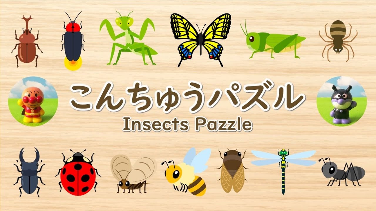 アンパンマンとこんちゅうパズルで遊ぼう！昆虫の名前、赤ちゃん・子供