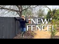 The NEW Fence (kind of) and Secret Garden Clean Up! January Gardening