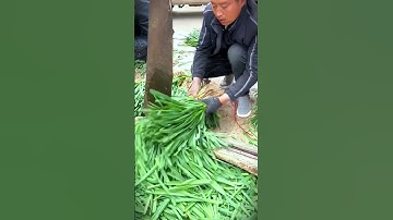 smart tool jumbo knife specifically for trimming spring onions #shorts