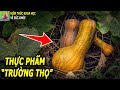 Thực phẩm &quot;trường thọ&quot; giúp mắt sáng tim khỏe phòng ngừa ung thư