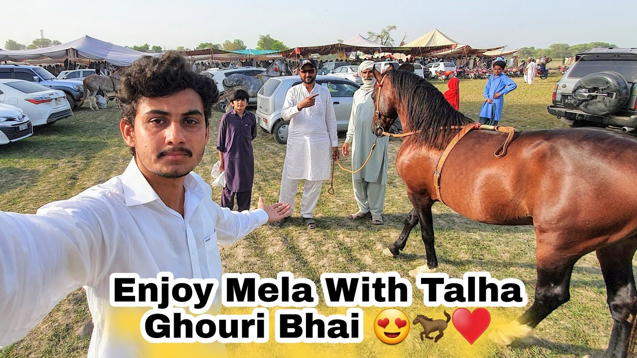 Mely ka Tesra Din || Enjoy Horse Dance Mela With Talha Ghouri Vlogs 😍🐎♥️