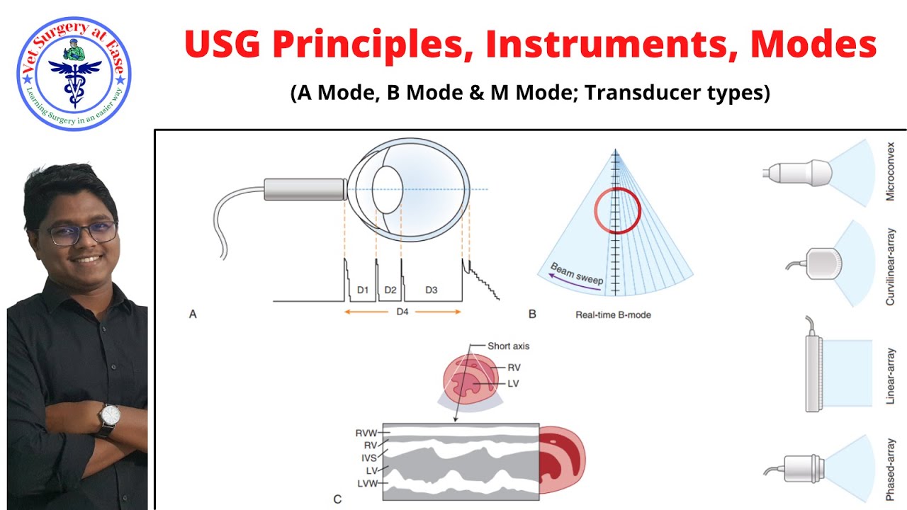 Basic Principles, Instruments & Modes | Lecture 01 | Ultrasonography