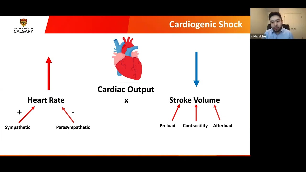 Cardiac Research in the Intensive Care Unit