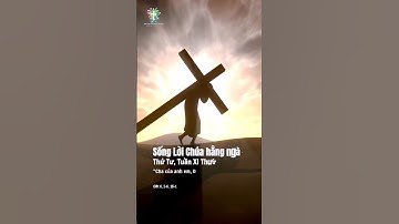 Sống Lời Chúa Mỗi Ngày | Thứ 4 Tuần XI Thường Niên | Tin Mừng Mt 6, 1-6.16-18