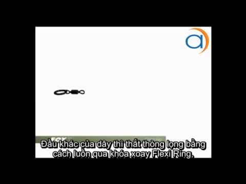 Hướng dẫn thiết lập thẻo câu Chod Rig hiệu quả cho câu cá chép