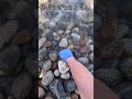 ポッキーを握って水中に手を入れた結果www #shorts