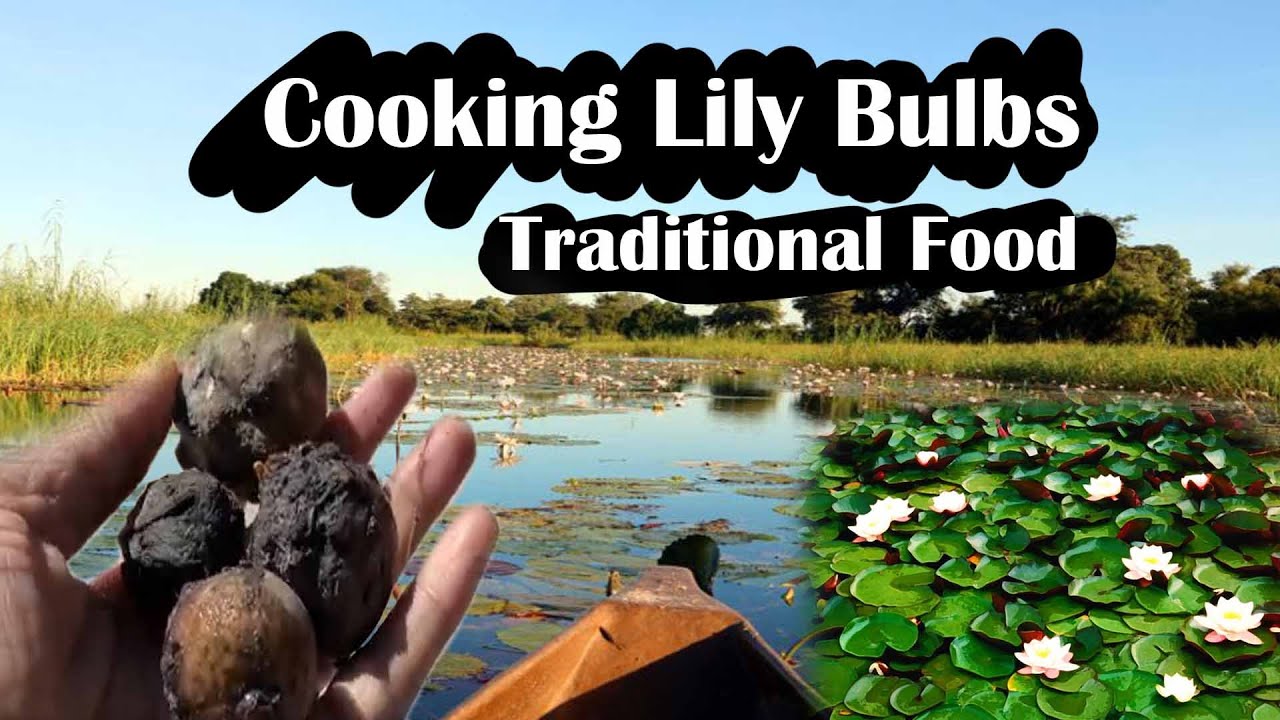 Zambezi Traditional Food Part 1 | Namibian Youtuber