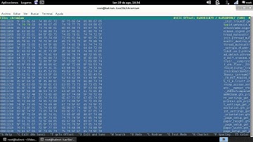 Ejecutar Chromium modo root en Kali Linux