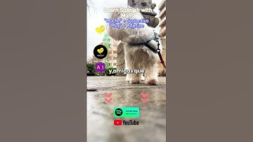 Thumbnail of 🇪🇸 LEARNSPANISHWITH#music (Level A1)-Quiero vivir[Fast Ver.]bySunlightSongs #shorts #aprendeespañol