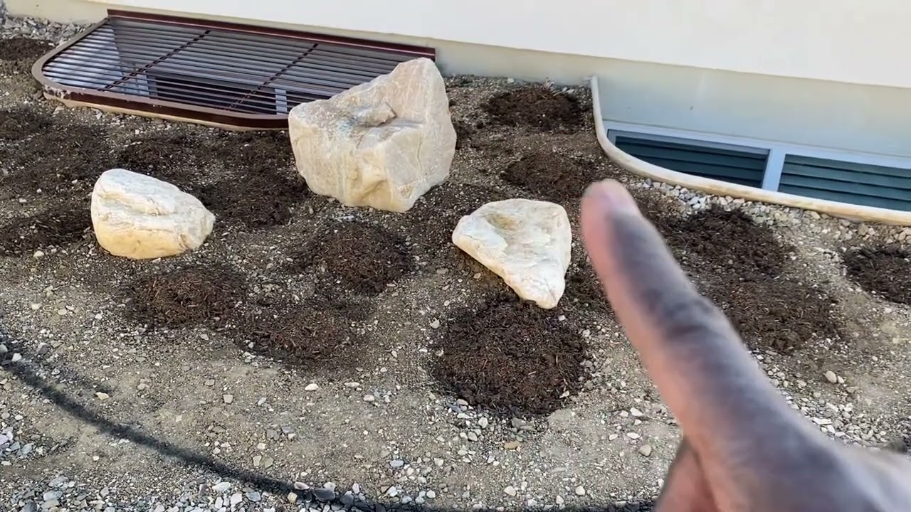 A Look at My New Therapy Garden Plans: Pt 2 // April 2025