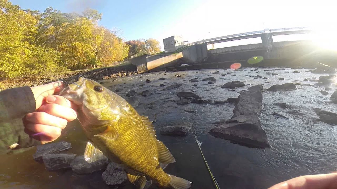 Smallmouth Bass Fly Fishing YouTube