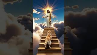 Type “Amen” if you believe