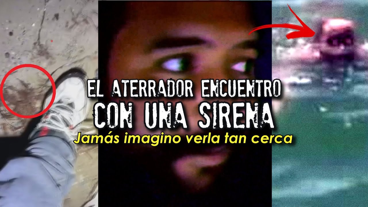 Sirenas captadas en cámaras