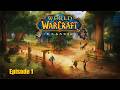 WoW Classic Playthrough Human Paladin - No Commentary - Episode 1 - Elwynn Forest