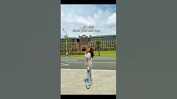Just Trust Me You Ll Be Fine Chinesegovernmentscholarship Fullscholarship 