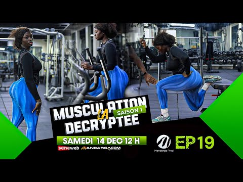 LA MUSCULATION DÉCRYPTÉE
