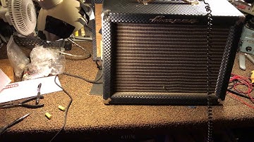 Ampeg J12D