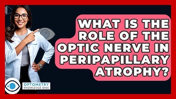 What Is The Role Of The Optic Nerve In Peripapillary Atrophy? - Optometry Knowledge Base